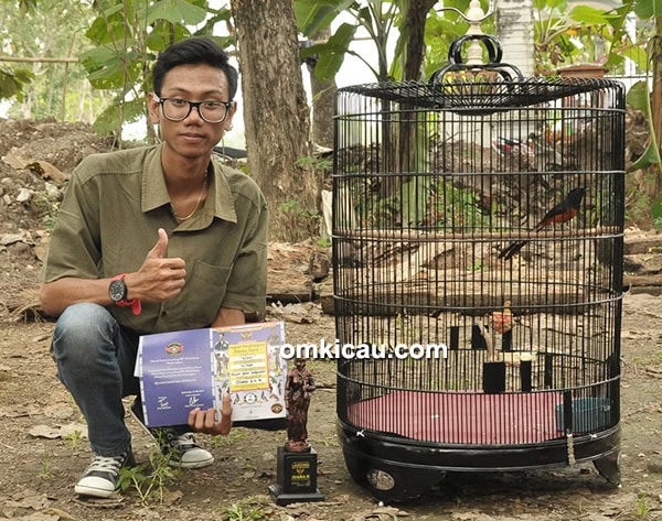 Om Windo dan murai batu Klaus