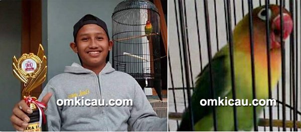 lomba burung di Tangerang