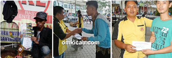 latpres burung latpres burung berkicau