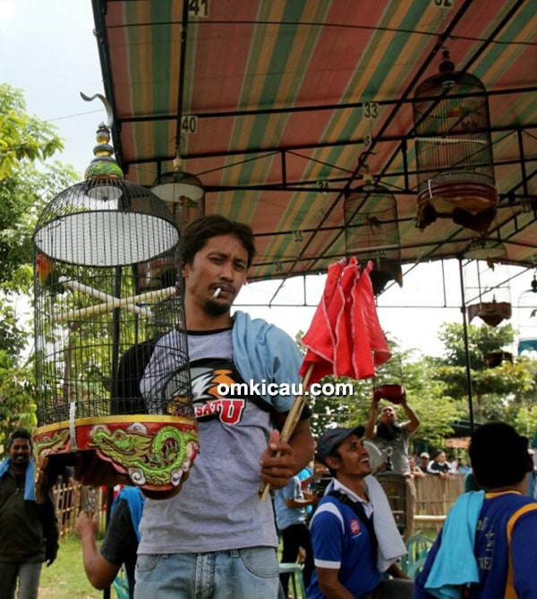 KMJ Cup Pati lovebird Mbah Bejo