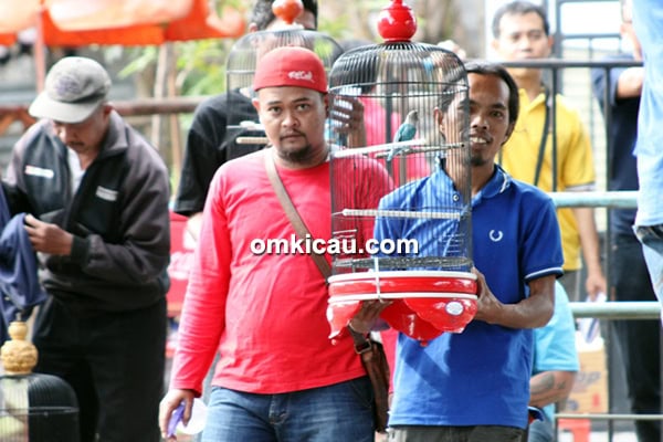 lovebird Zaidan