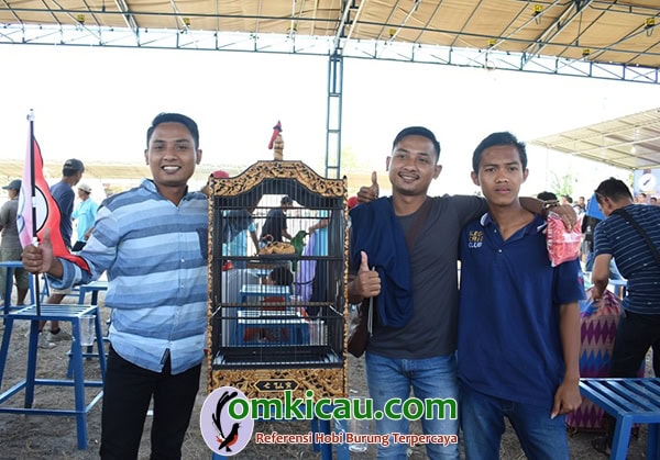 Cucak ijo Wal Sawel