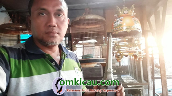 breeding perkutut