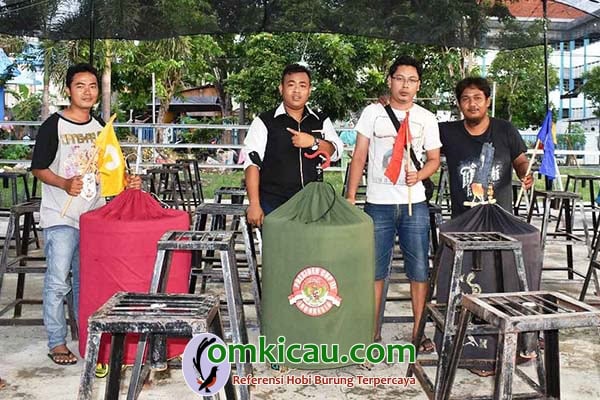 hasil lomba burung