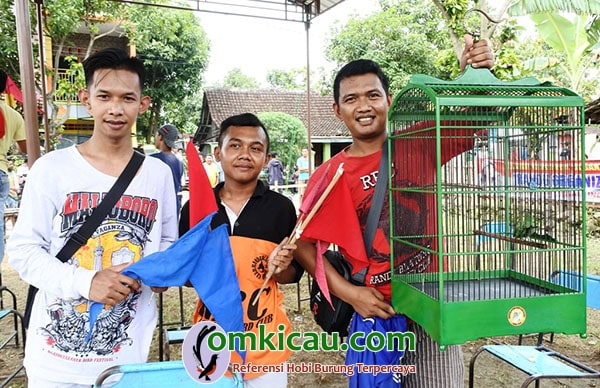 Cucak ijo Cabe Rawit