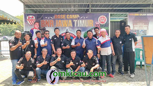 Tim Juri BnR