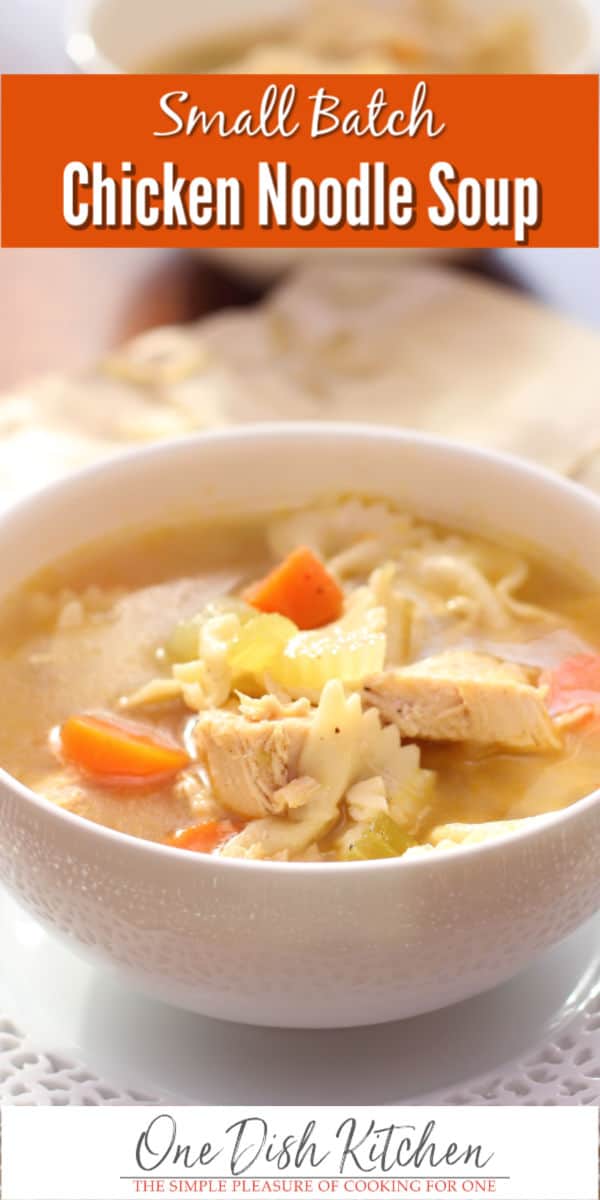 Best Chicken Soup Recipe Small Batch One Dish Kitchen