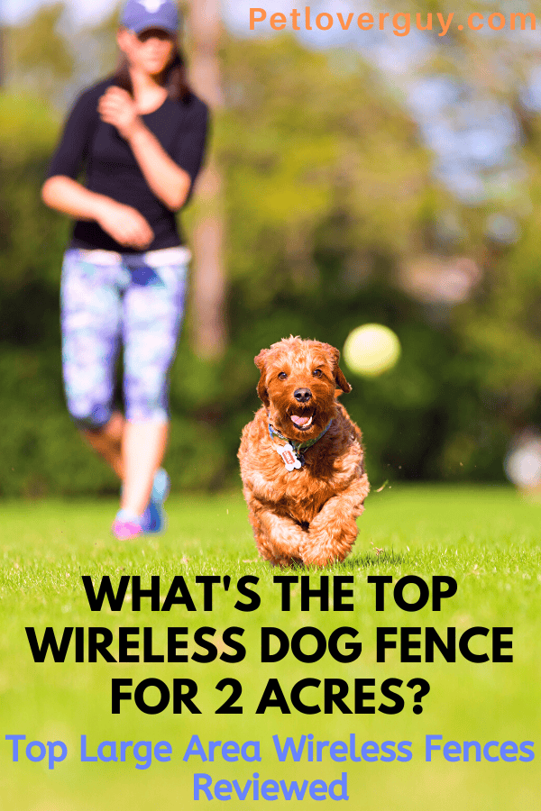 What's the Top Wireless Dog Fence for 2 Acres? Top 5 Reviewed