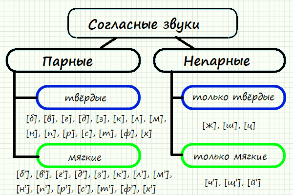 Твердые и мягкие согласные