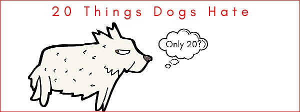 20 Things Your Dog Hates