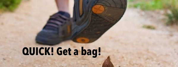 Best dog poop bags