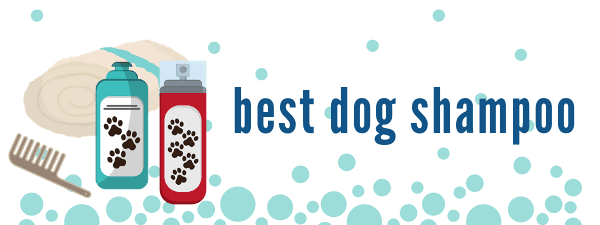 Best dog shampoo for your Morkie