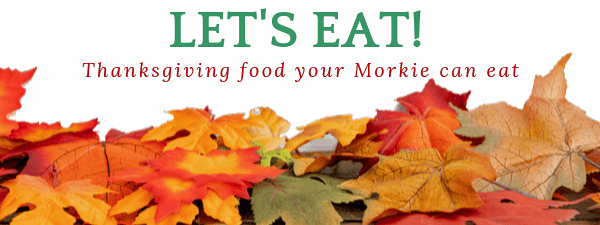 Thanksgiving treats for dogs