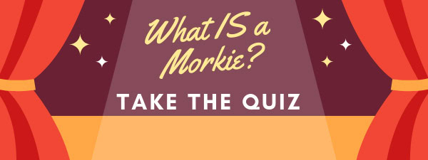 How much do you know about Morkies?
