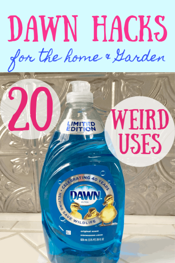 alternative uses for dawn dish soap graphic