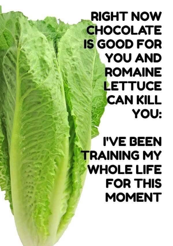 Which Lettuce Do I Use For Lettuce Wraps Keto Dirty