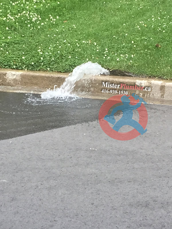 Leak from main water line