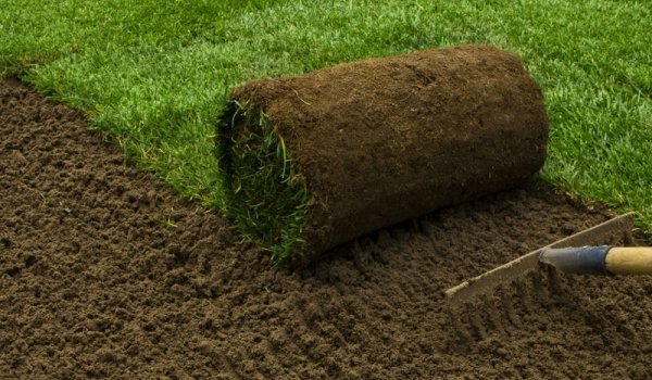 sod roll with dirt and a rake