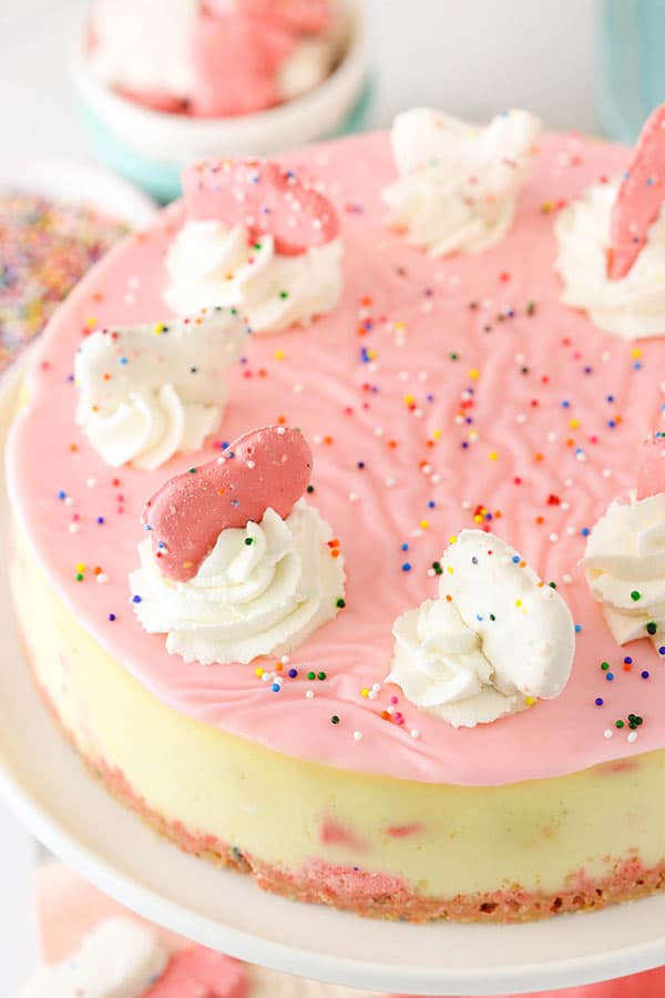 Frosted Animal Cookie Cheesecake Recipe | Circus Animal Cookie Party Ideas Frosted Animal Cookie Cheesecake Recipe | Circus Animal Cookie Party Ideas