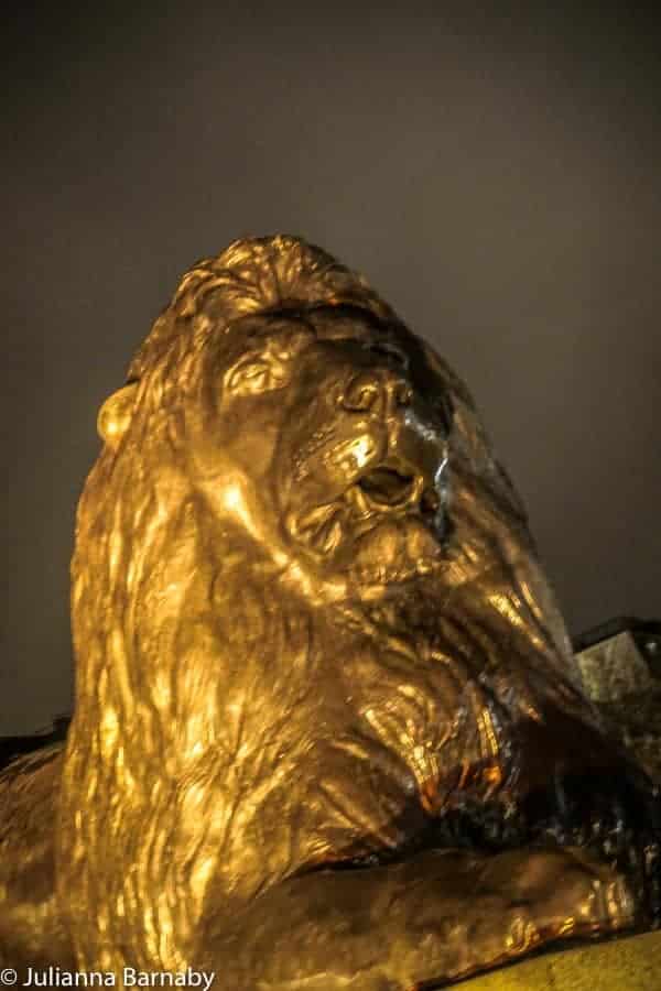 Lions on Trafalgar Square
