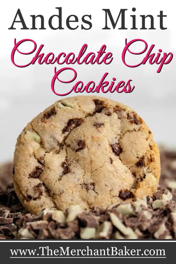 chocolate cookies with andes mint chips