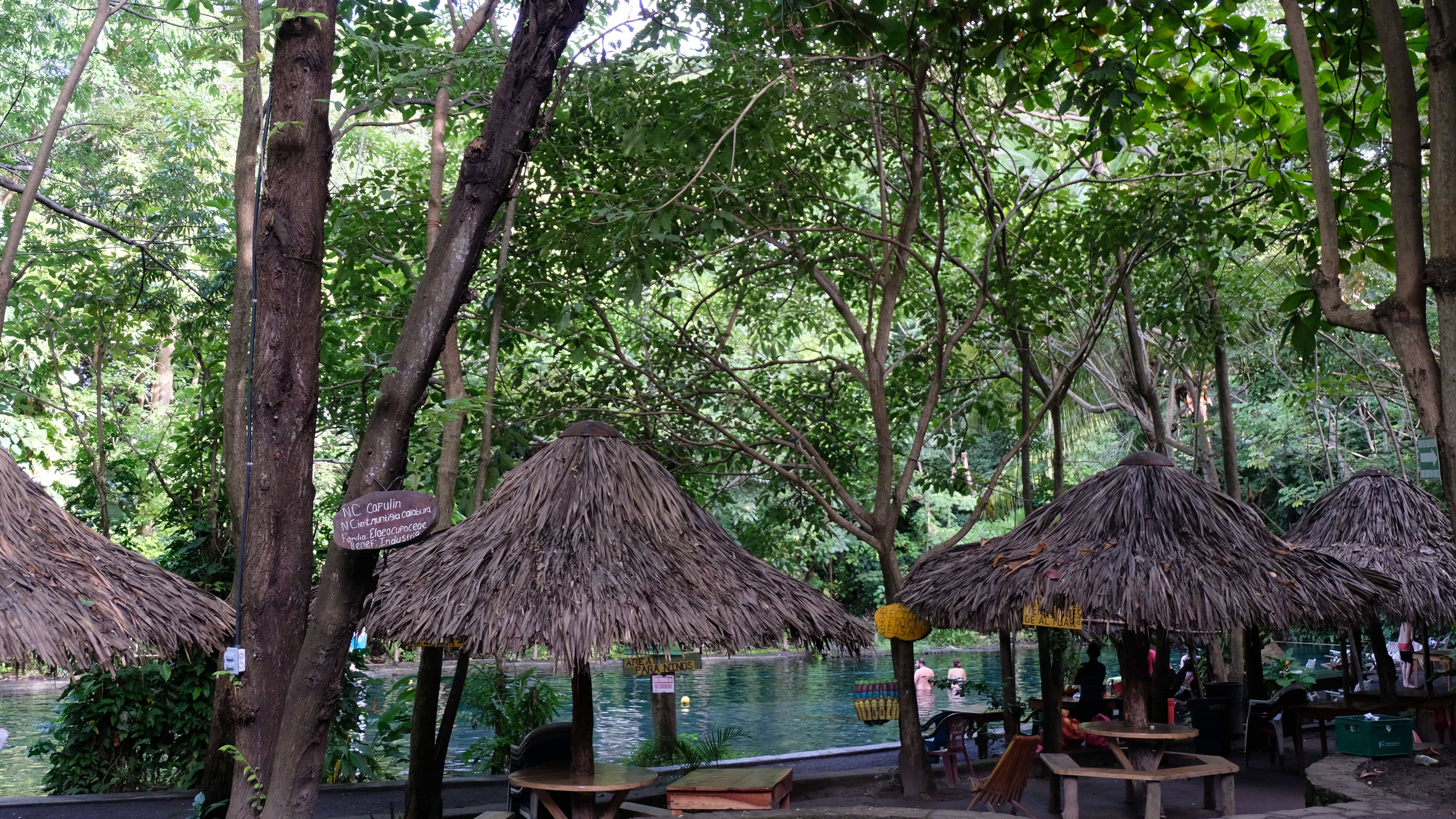 Swim in Ojo de Agua in Ometepe Island is one of the top things to do