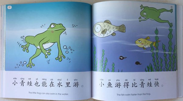 Review of Sagebooks 500 Simplified and traditional Chinese - teach kids how to read Chinese Review of Sagebooks 500 Simplified and traditional Chinese - teach kids how to read Chinese