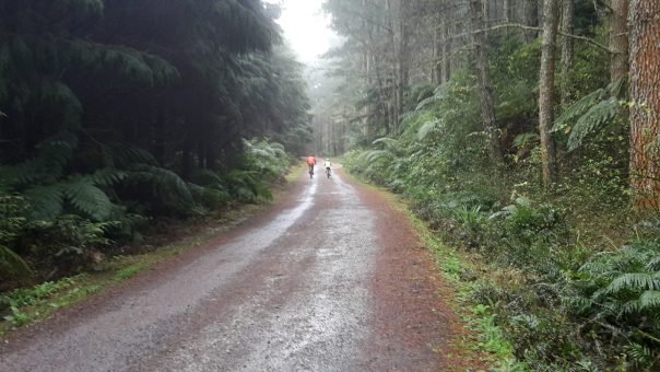 Mountain Bike Redwoods Rotorua