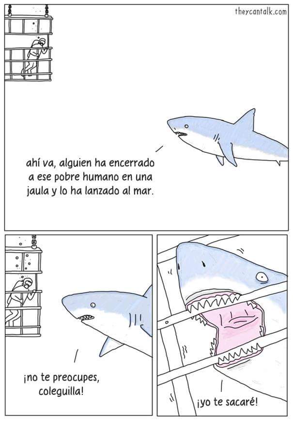 Galería
