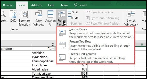 How To Freeze One Row In Excel