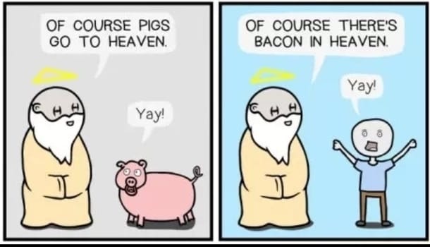 Bacon Memes - Because Who Doesn't Love Bacon? 17 pigs and bacon in heaven funny graphic