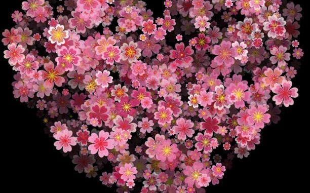 Blossom Tattoos Archives Tantilizing Tattoos