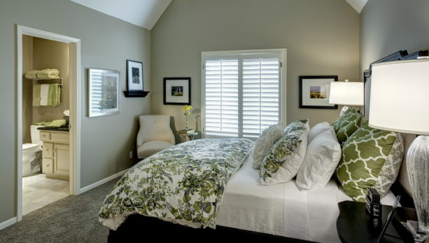 luxurious, patterned green bedspread and pillows for bedroom with gray walls
