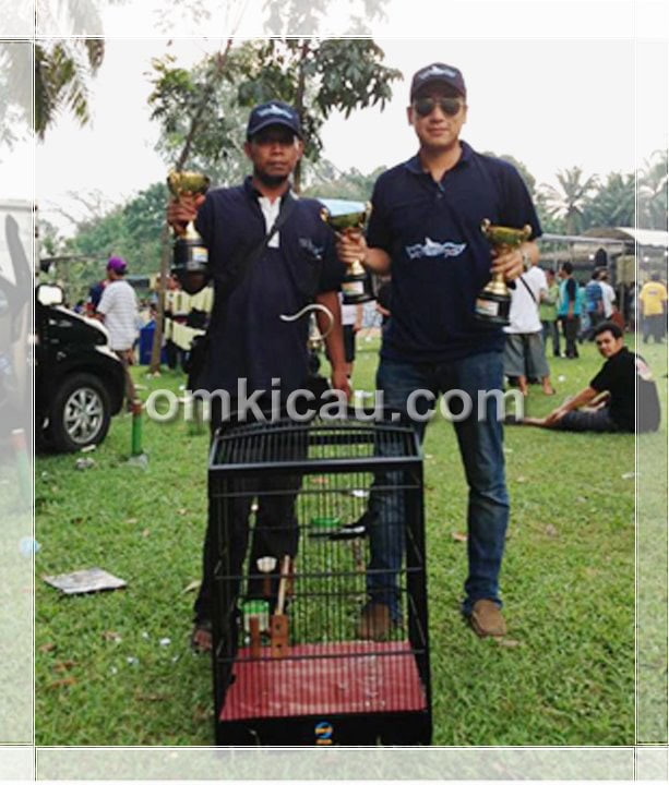 Andre Sutanto dan kacer Senpi
