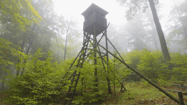 Elevated deer hunting blind