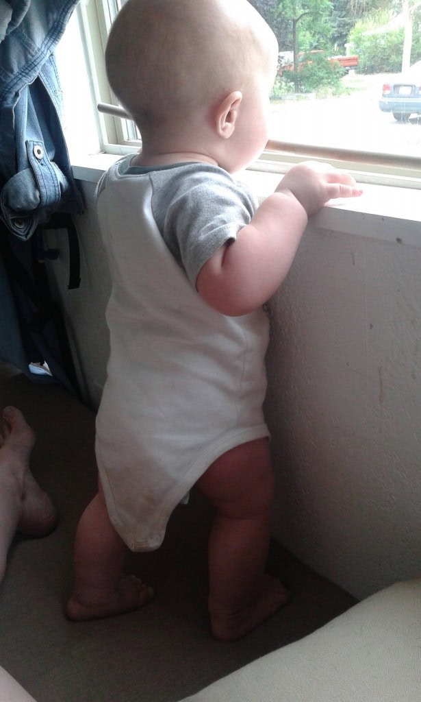 While I was sewing up the main couch cusion this little man was pulling himself up on the window and thinking he was the coolest thing... (he was)