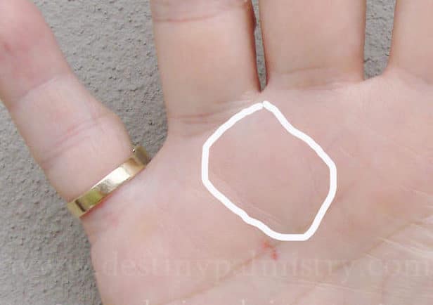 apollo mount, areas of the hand, palm reading guide, e-book palmistry