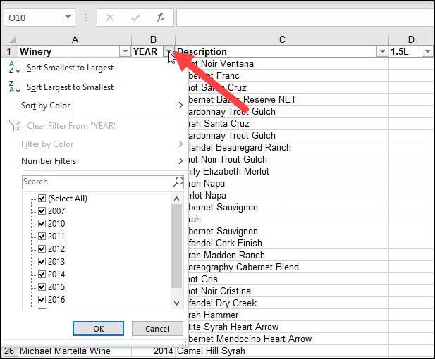 Excel Autofilter Finds Your Data Faster 