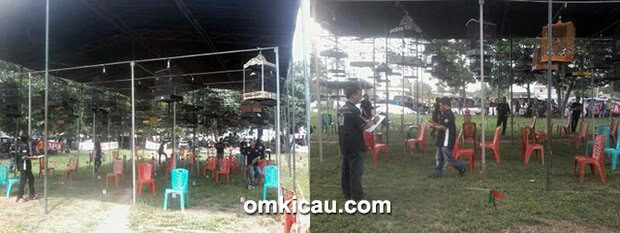 Lomba burung berkicau Launching Sarolangun Team