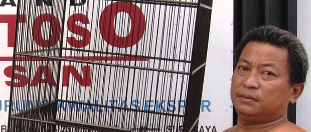 Om Witoyo Santoso, sangkar kohsan asli hanya bisa dibeli di workshopnya.