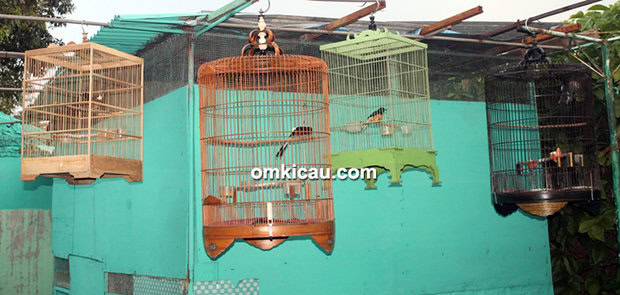 Rumah Kicau BR Kramatjati