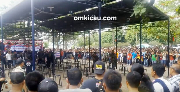 Batavia Cup 2-kelas lovebird