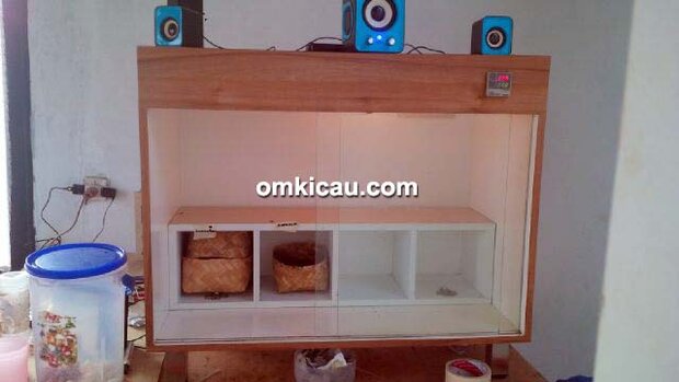 inkubator anakan murai batu