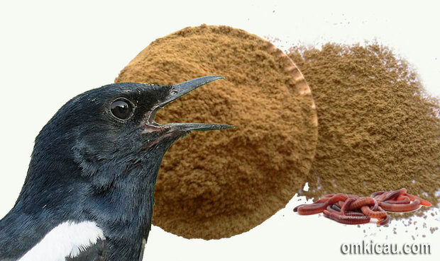 Tepung cacing untuk burung peliharaan