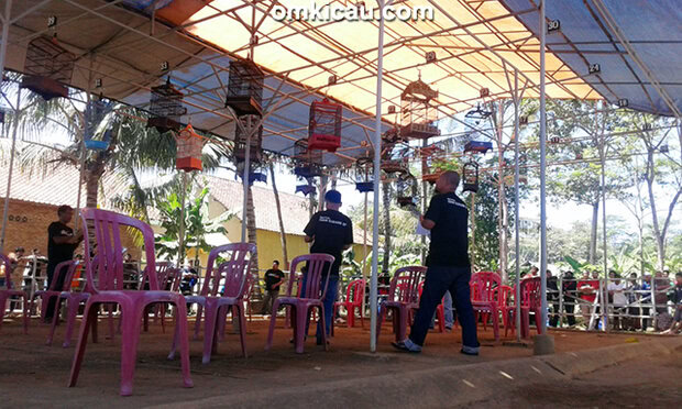 Latpres Angsana Muda Bird Arena Cilacap