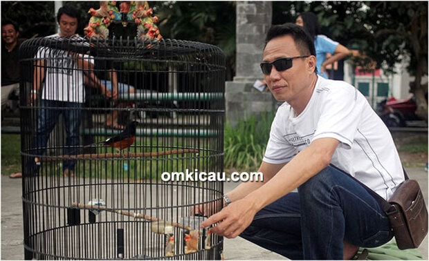 Om Heru dan murai batu Pedrosa