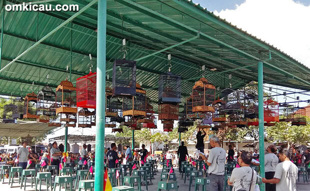 Lomba burung berkicau Ramadhan Cup Denpasar