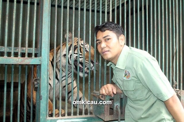 Om Budi Hidayat