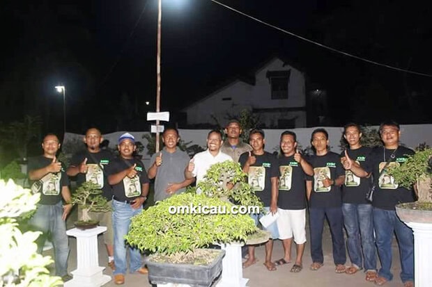 Kicau Mania Bonsai Jambi
