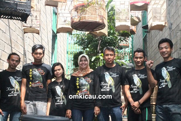 Breeding murai batu Bowo BF